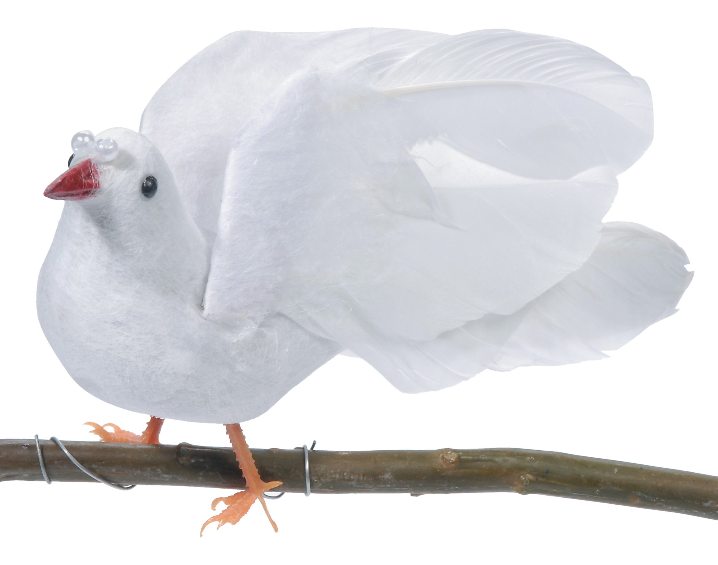Amazon.com: Darice White, Dove with Pearls, Feathered/High Wing, 6